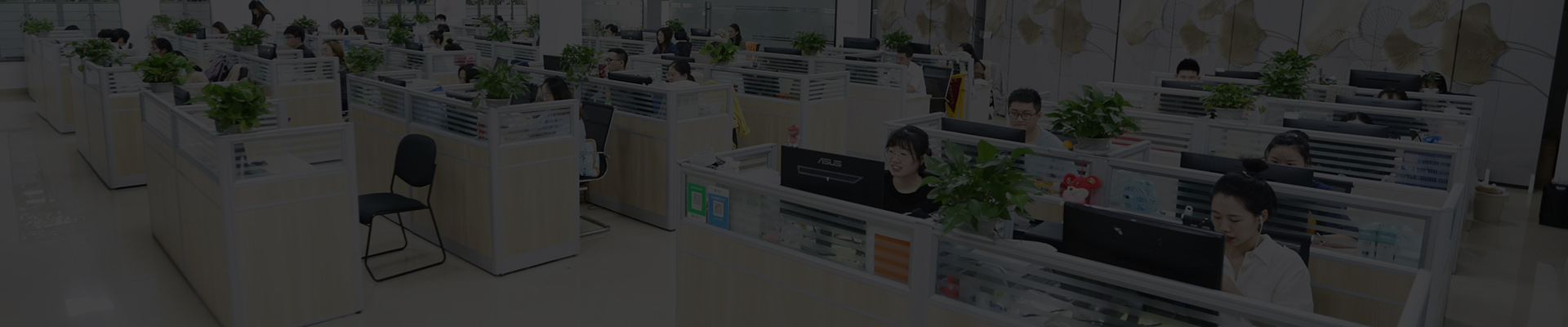 宁波开关电器制造有限公司